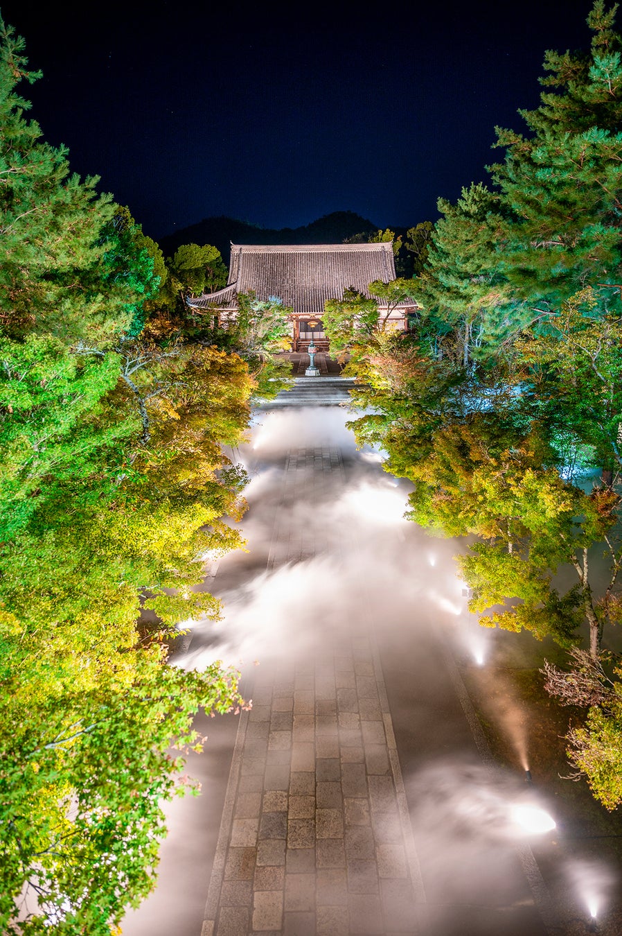撮影:コウノスケ@kyotophotograph
