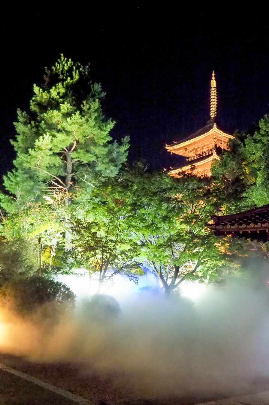 撮影:コウノスケ@kyotophotograph