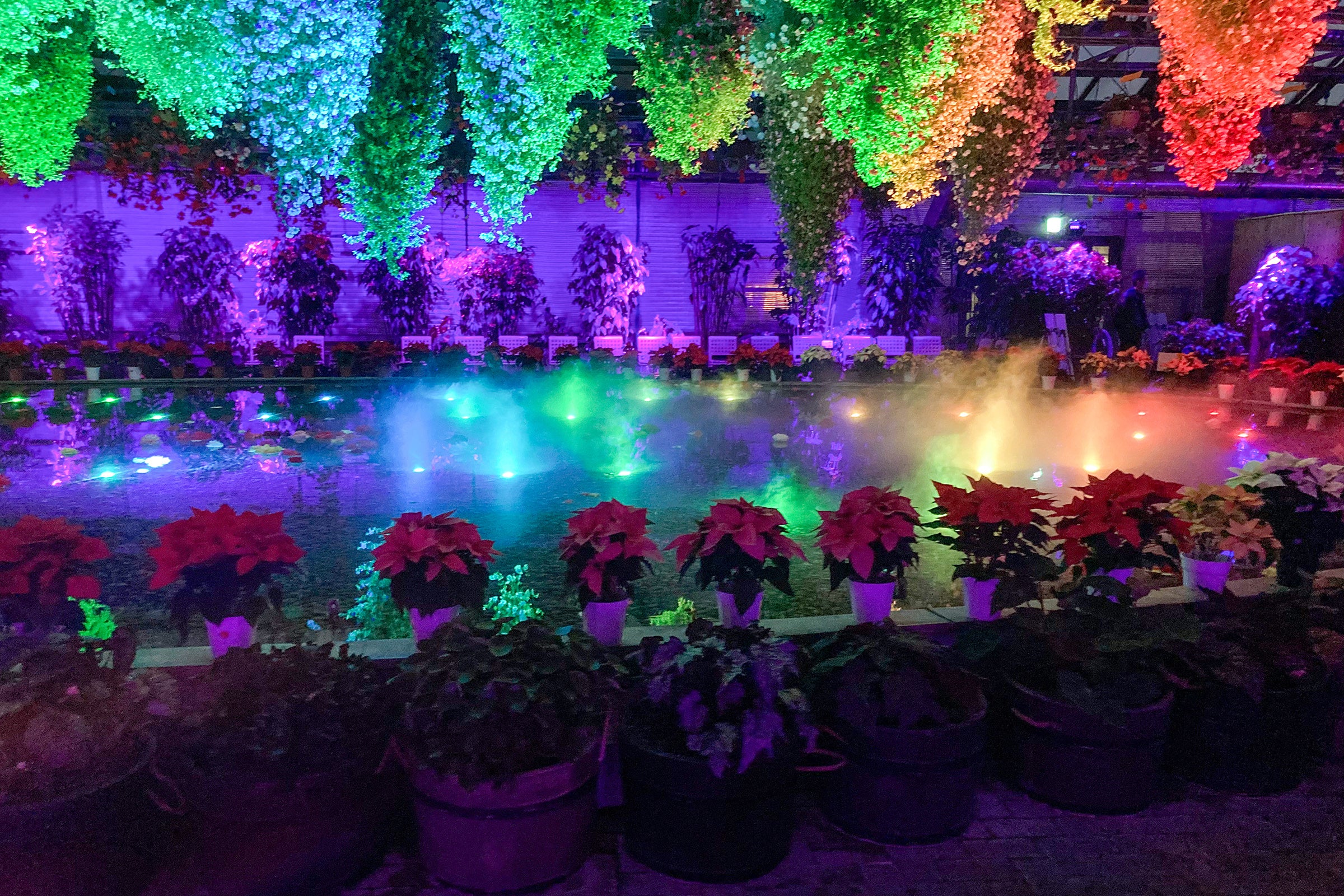 2022年冬『ベゴニア園』