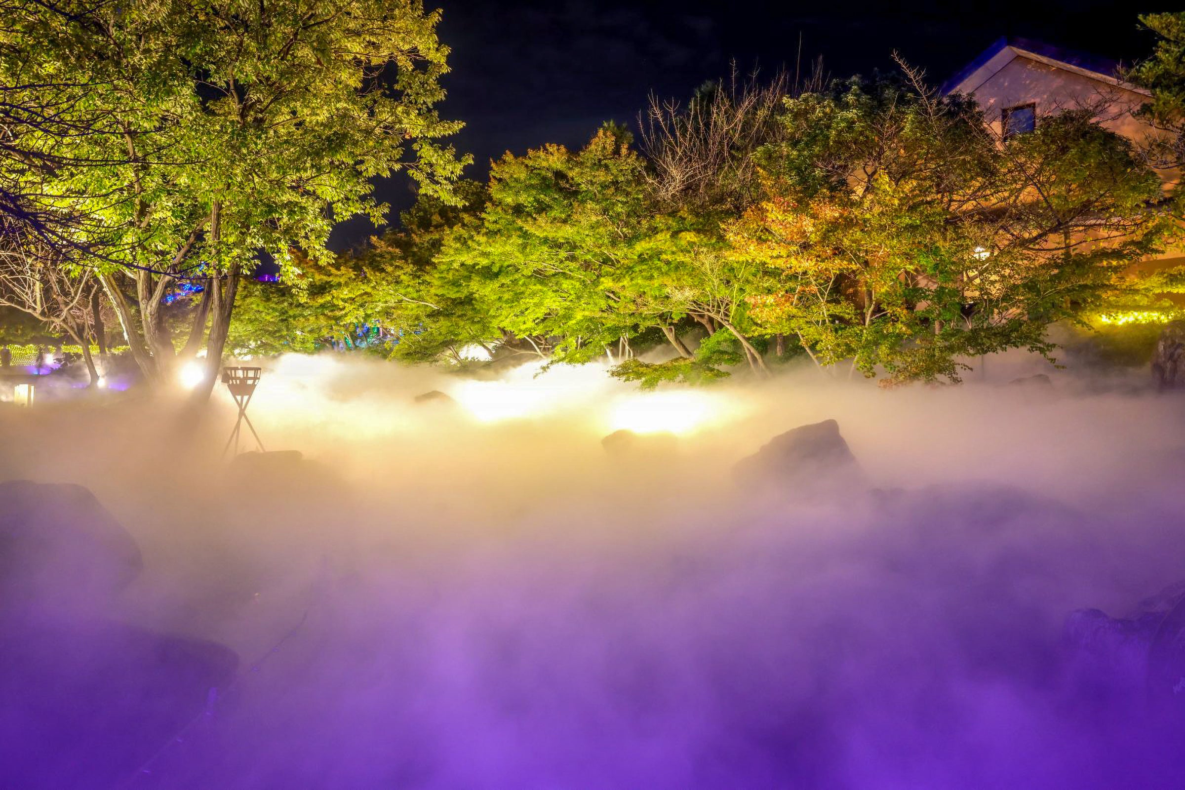 2022年夏『霧に包まれたせせらぎ』