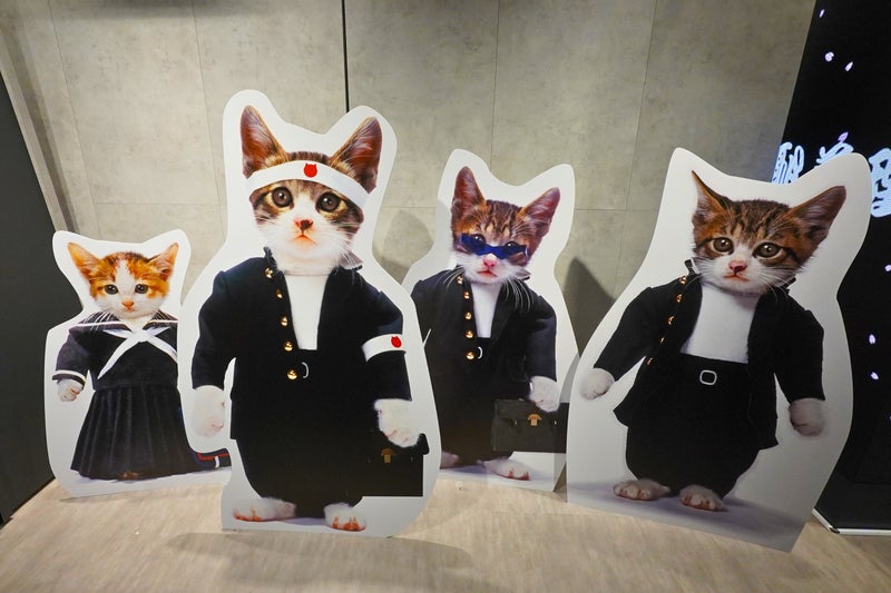 等身大サイズのなめ猫パネル