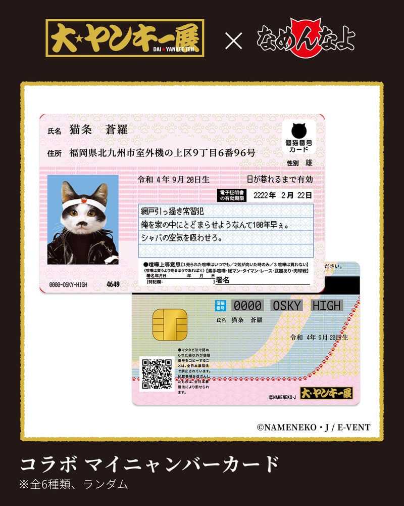 なめ猫のマイニャンバーカード