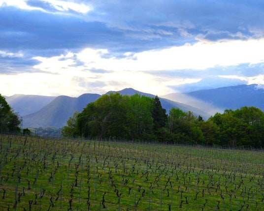 【長野・飯綱町】生産者と歩く広大なぶどう園トレッキングや「摘果体験」も。5/16開催『いいづなシードルガーデン2026』予約制体験イベントの詳細発表 【長野・飯綱町】生産者と歩く広大なぶどう園トレッキングや「摘果体験」も。5/16開催『いいづなシードルガーデン2026』予約制体験イベントの詳細発表
