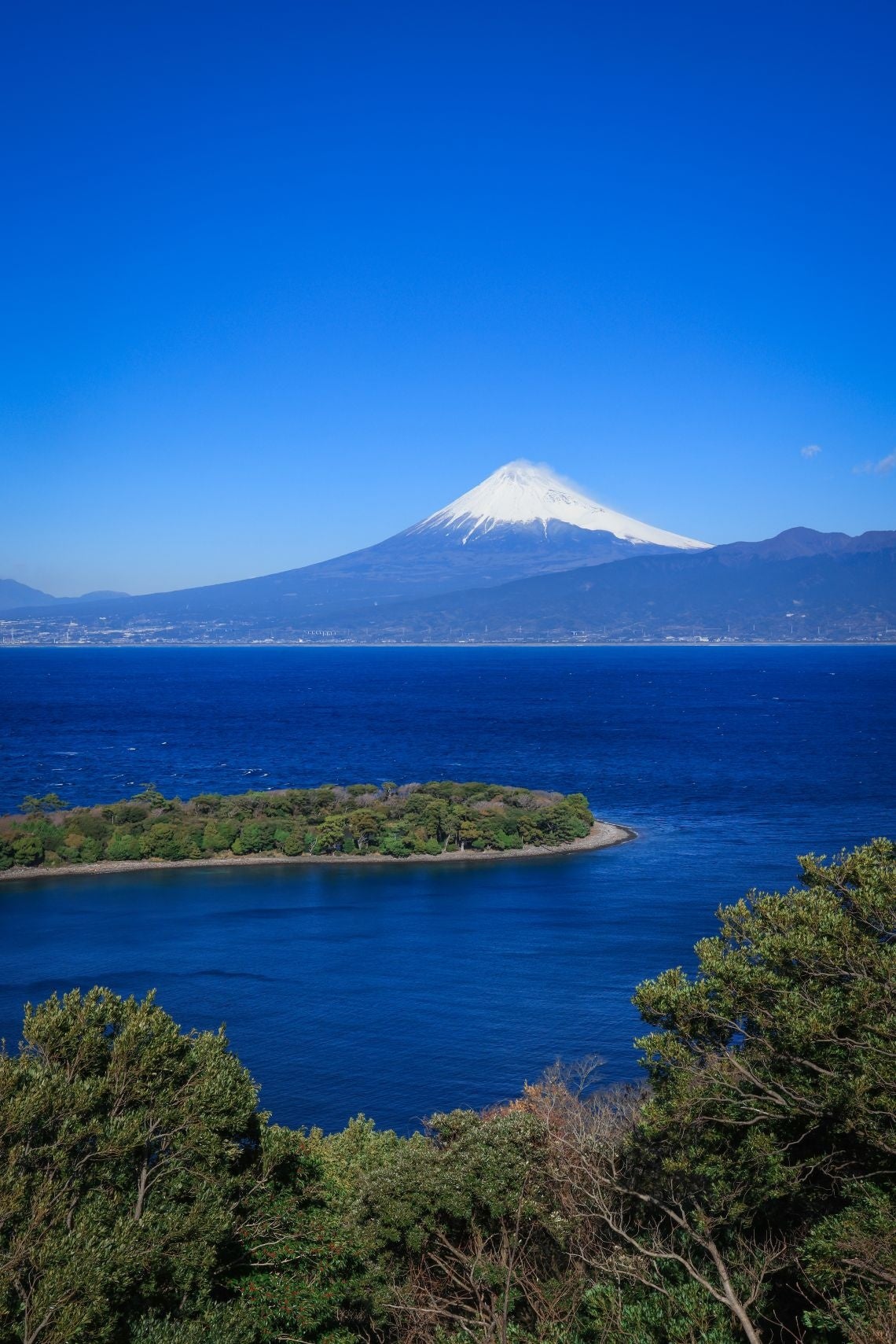 富士山