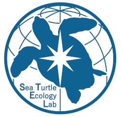 特定非営利活動法人Sea Turtle Ecology Lab(略称:STEL)
