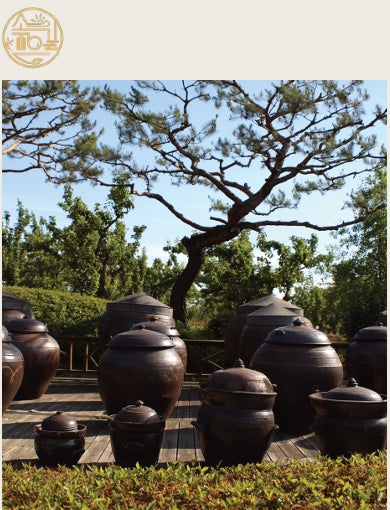 名人の韓菓から6年根紅参まで、韓国伝統食品22社が中野マルイに集結 「담다(タムダ)2026」10月26日から