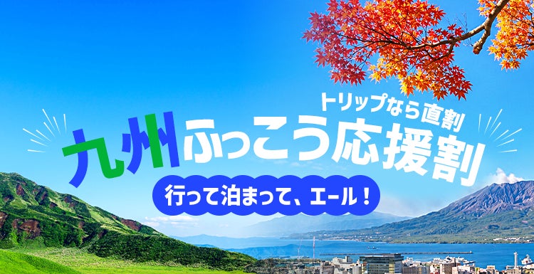 鮮やかなコスモスとひまわり、さつまいも収穫体験も満喫!加古川の秋の段々畑を彩る風物詩「しかた広尾東コスモスまつり」が開催