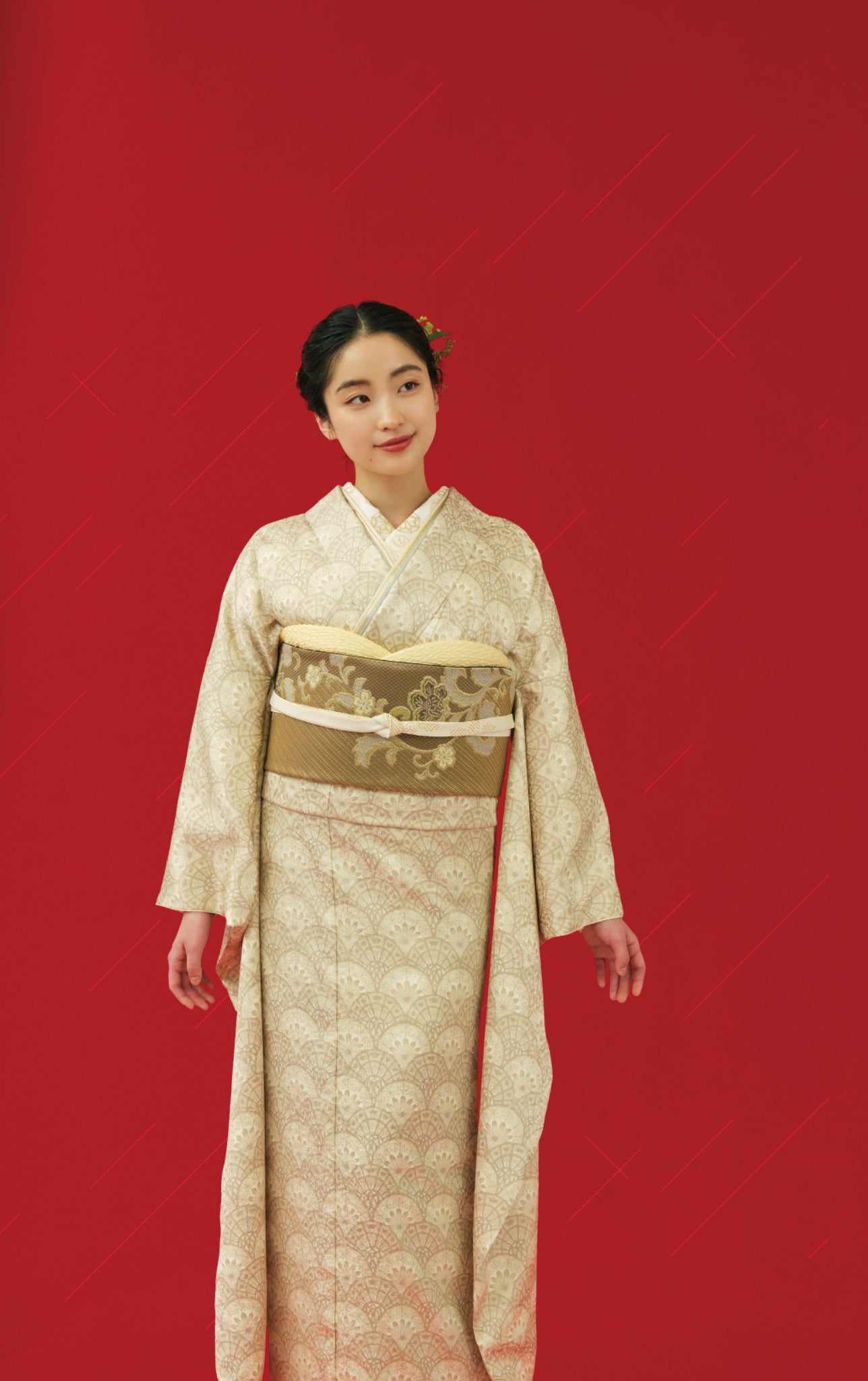 cono-HOSHIシリーズ