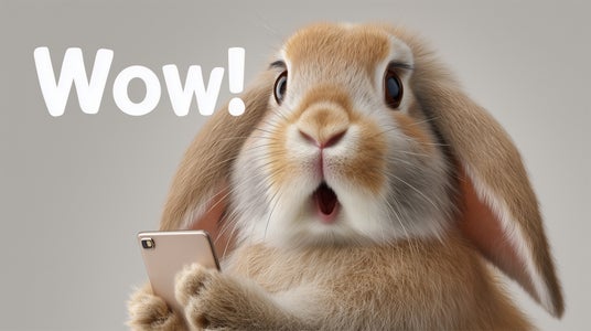 人気の観光地「瀬戸田&うさぎ島」間を最速10分で移動! 人気の観光地「瀬戸田&うさぎ島」間を最速10分で移動!