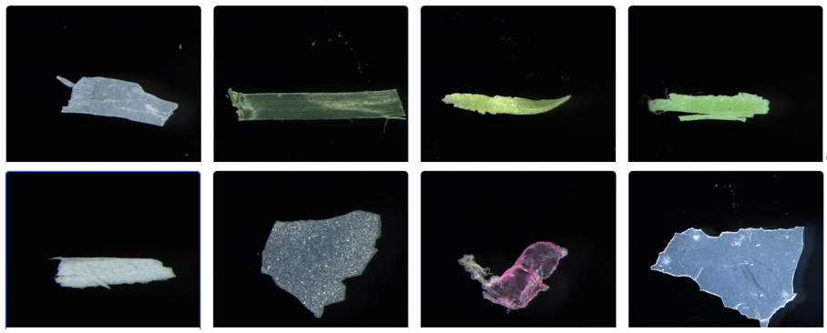 荒川で採取されたマイクロプラスチックの一部