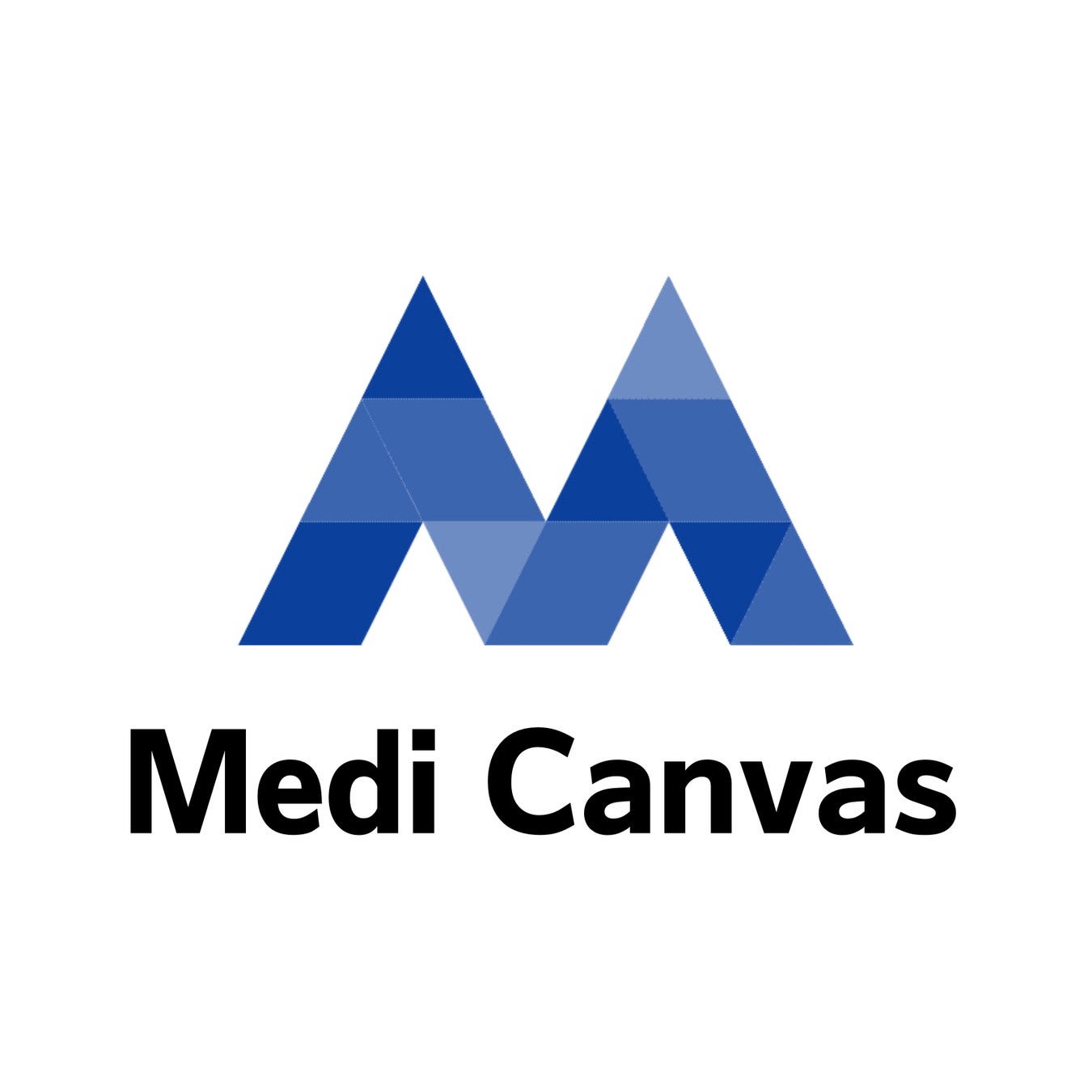 株式会社メディキャンバス