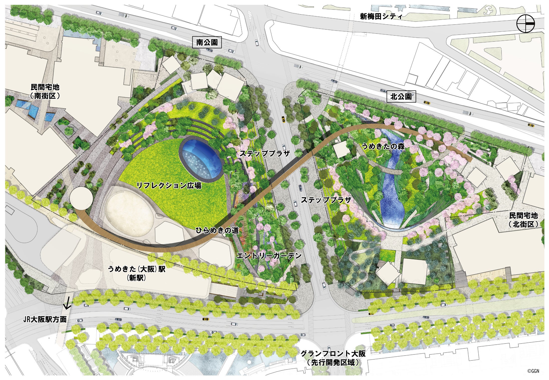 梅の木 ギンバイカ マートル 銀梅花 常緑低木 ハーブ 庭木 植木 植栽