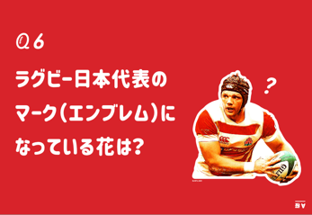 超にわかラグビークイズ問題例