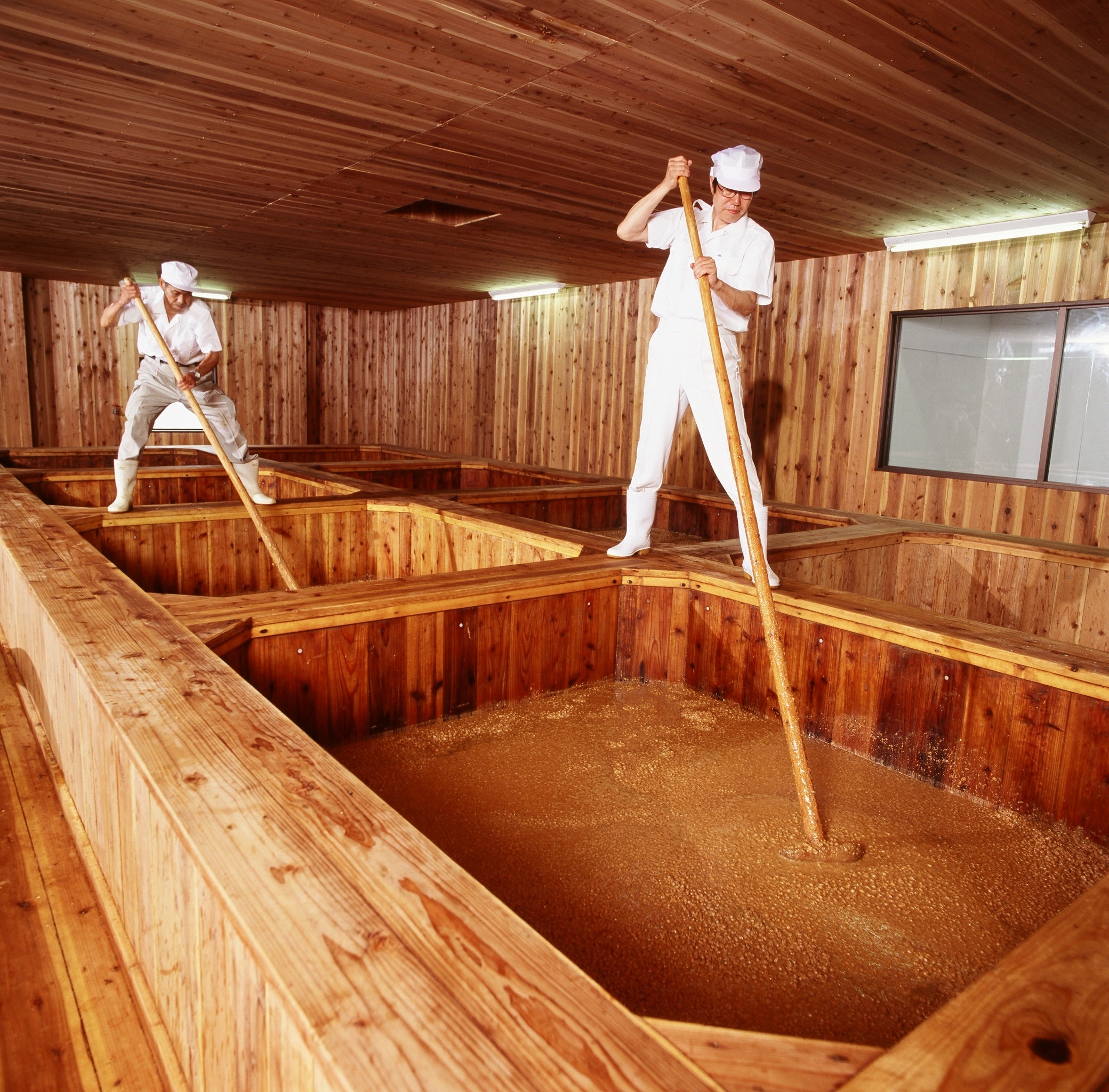 第6回 未利用魚を用いた魚醤づくりの様子