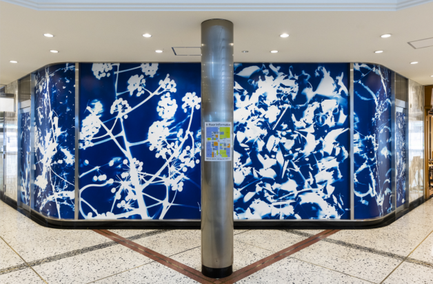 　©YAU  HAJIME KATO  TOKYO PHOTOGRAPHIC RESEARCH PROJECT