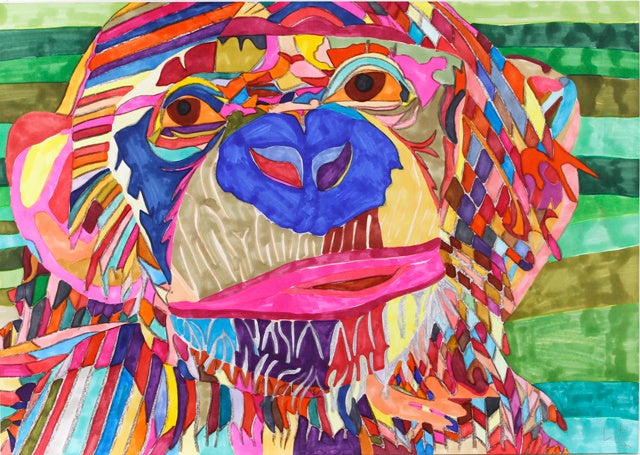 「虹色チンパンジー」くぼたはるいち さん（12歳）