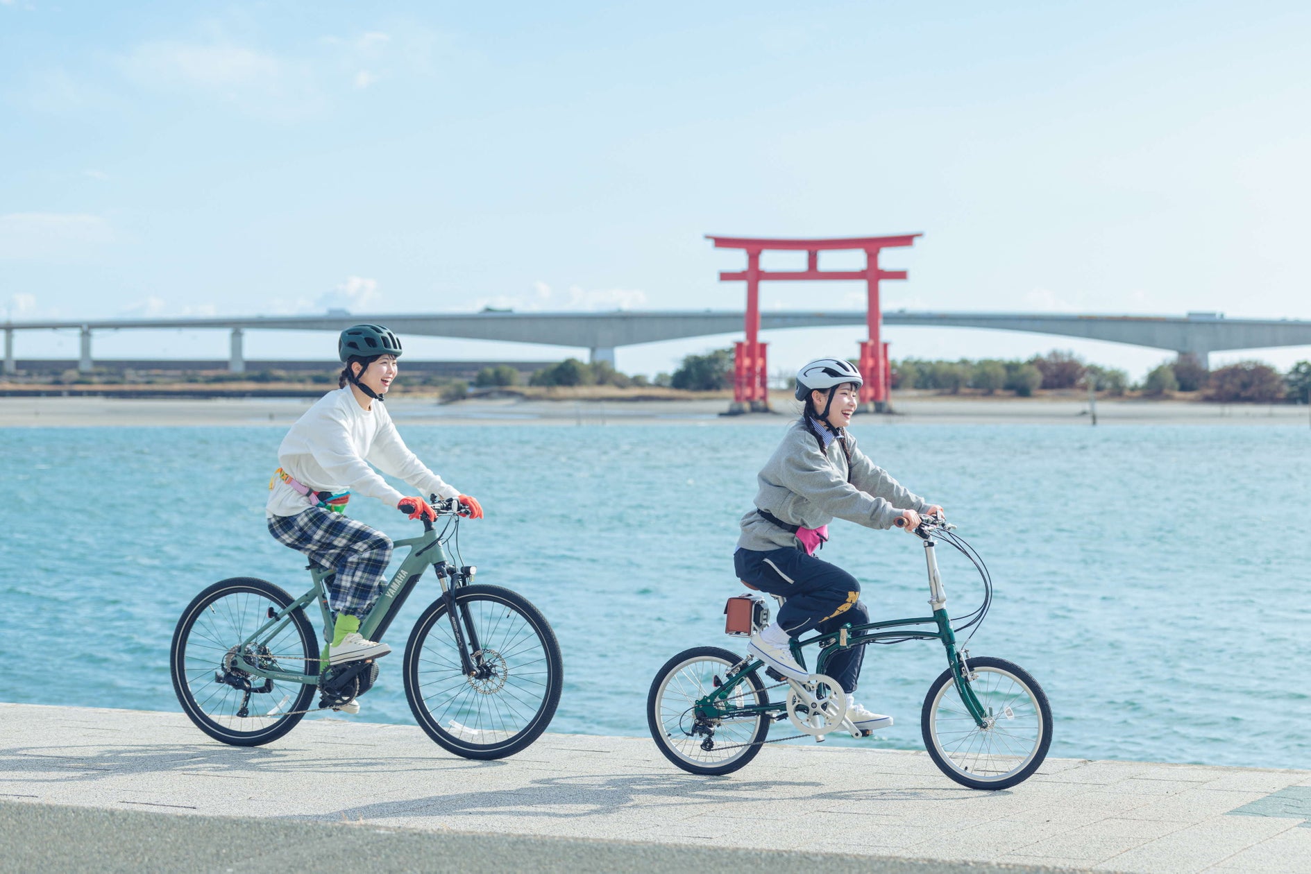 活動歴および当時の関連ビジュアル記録