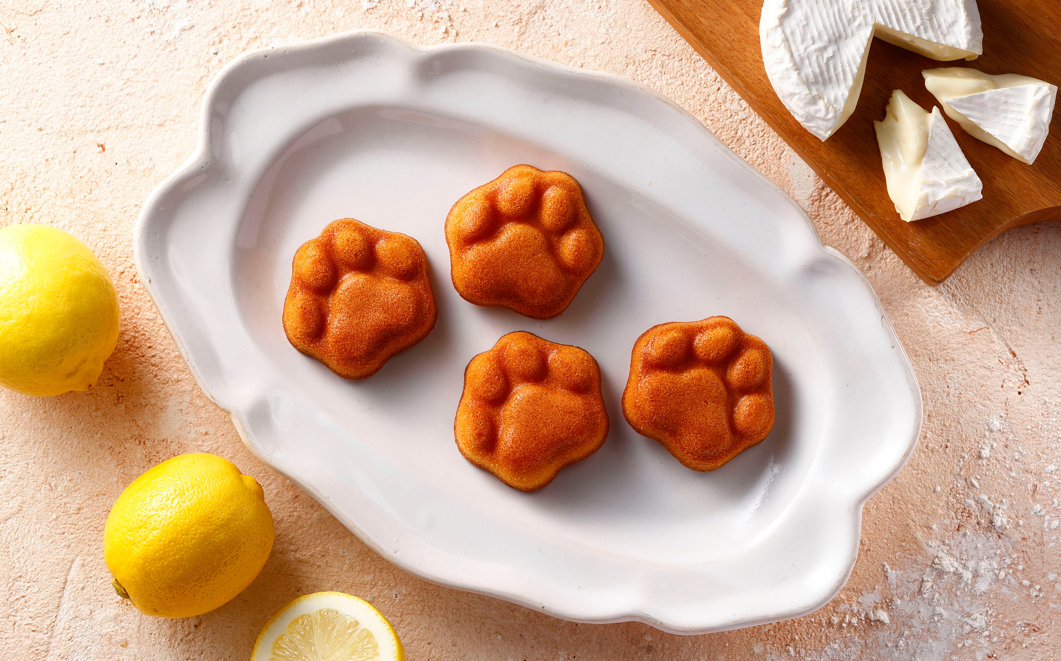 新宿小田急エース催事出店】ネコがつくる絶品スイーツブランド、チーズ