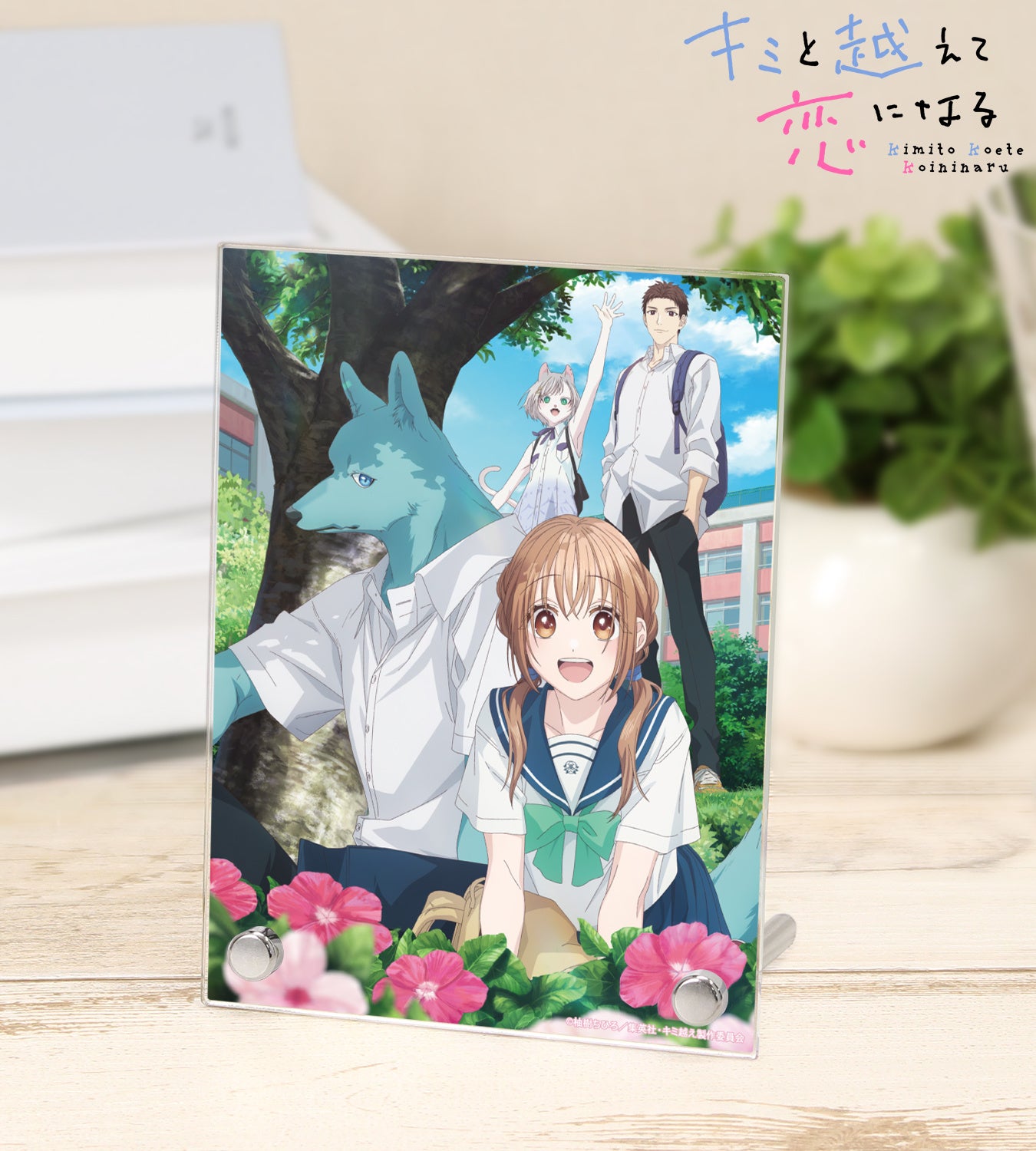 テレビアニメ-ション「ふしぎ遊戯」』の当たり付き一撃コレクション