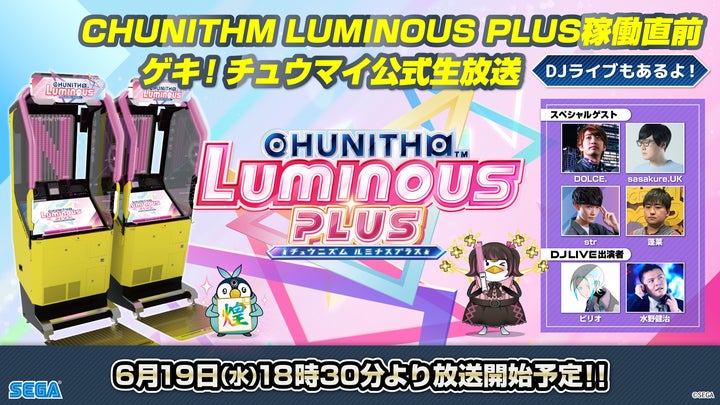 【*chita*さま専用】 6月28日18時まで 16101-254-