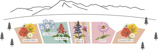 10ヘクタール100万株の広大な花畑「八ヶ岳ガーデンプロジェクト」6月14日(土)プレオープン 10ヘクタール100万株の広大な花畑「八ヶ岳ガーデンプロジェクト」6月14日(土)プレオープン