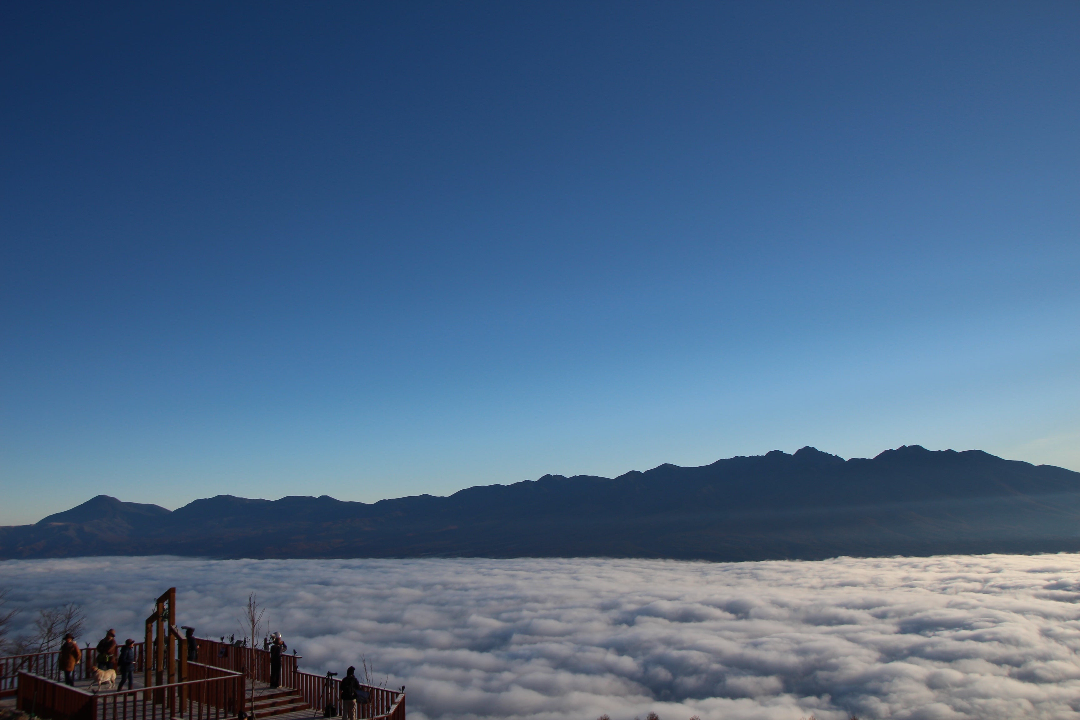 首都圏から日帰りで、ゴンドラで雲の上へ。入笠山グリーンシーズンのクライマックス「プレミアム雲海ゴンドラ」「黄金の入笠草紅葉2026」開催