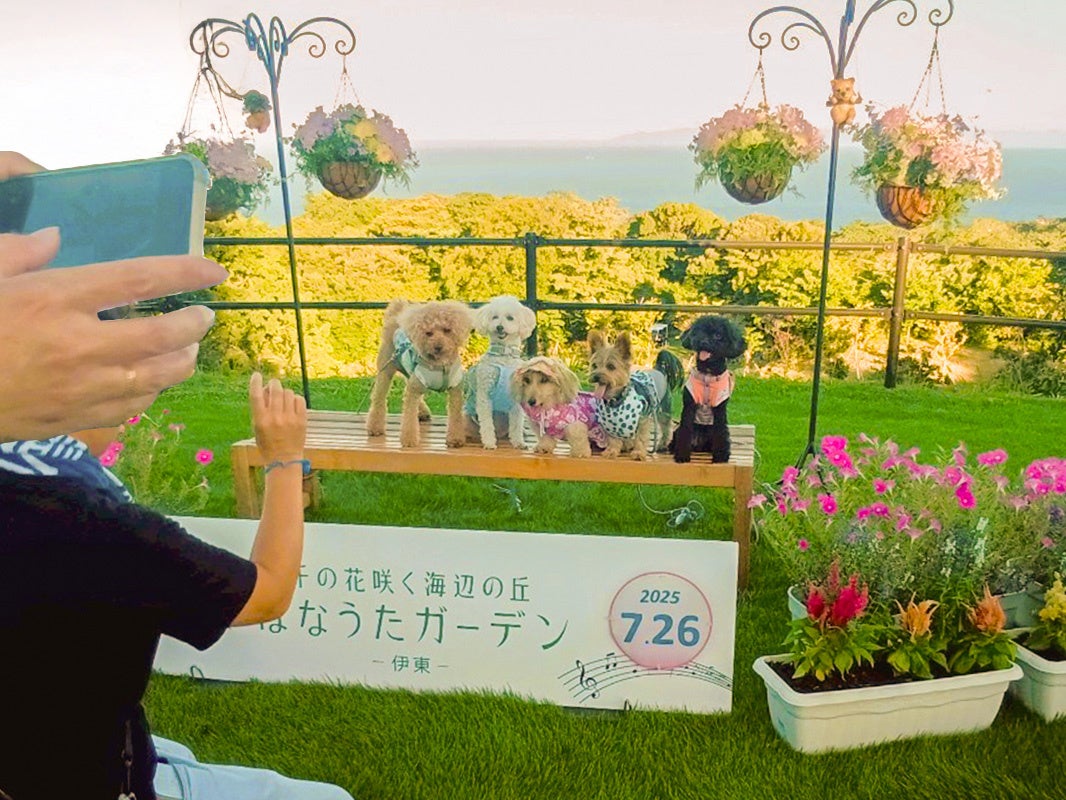 静岡・伊東にある絶景霊園「はなうたガーデン-伊東-」で愛犬と特別な時間を。「ワンちゃん散歩会」を8月30日に開催