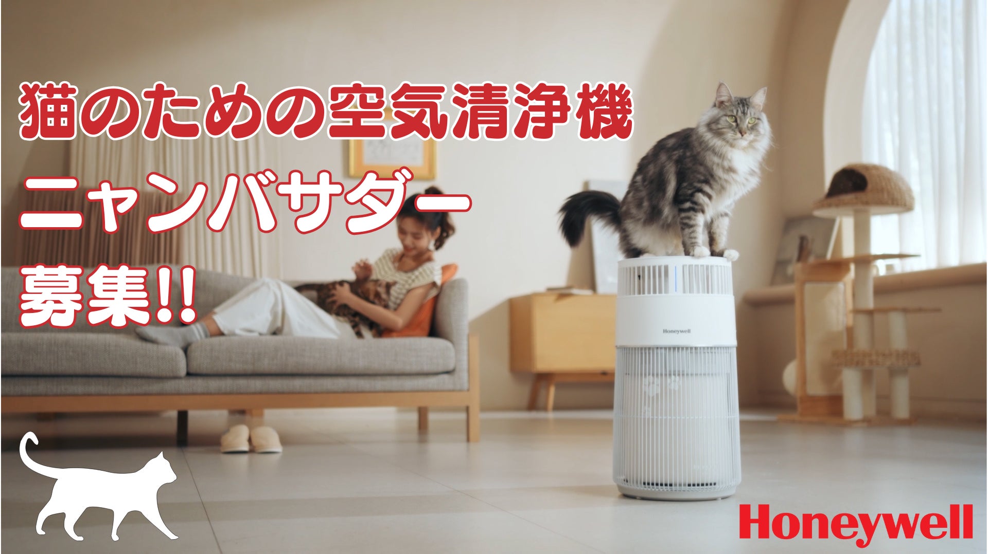 2月22日は猫の日!猫と暮らす家庭の4大お悩みを解消!Honeywell空気 2月22日は猫の日!猫と暮らす家庭の4大お悩みを解消!Honeywell空気