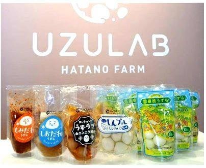 鶏卵高騰の陰でうずらの卵300万個が廃棄危機。日本一の養鶉(よう ...