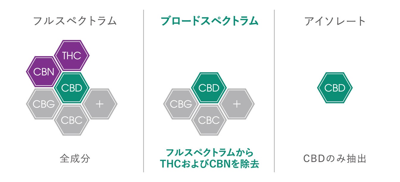 リポソーム型サプリメント「リポ・カプセル」ブランドから「Lypo-C CBD