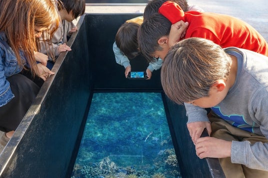 伊勢志摩の海に“南国の魚”が舞う。気候変動がもたらした新たな観光スポット。LUXUNA伊勢志摩のグラスボート体験。 伊勢志摩の海に“南国の魚”が舞う。気候変動がもたらした新たな観光スポット。LUXUNA伊勢志摩のグラスボート体験。