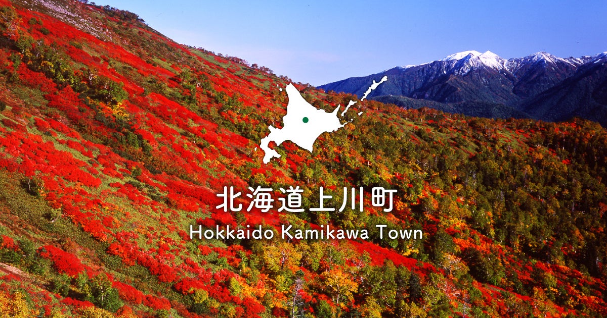 北海道上川町で「ロケふる」導入へ 旅先でのお会計をふるさと納税で支払える新しい仕組み