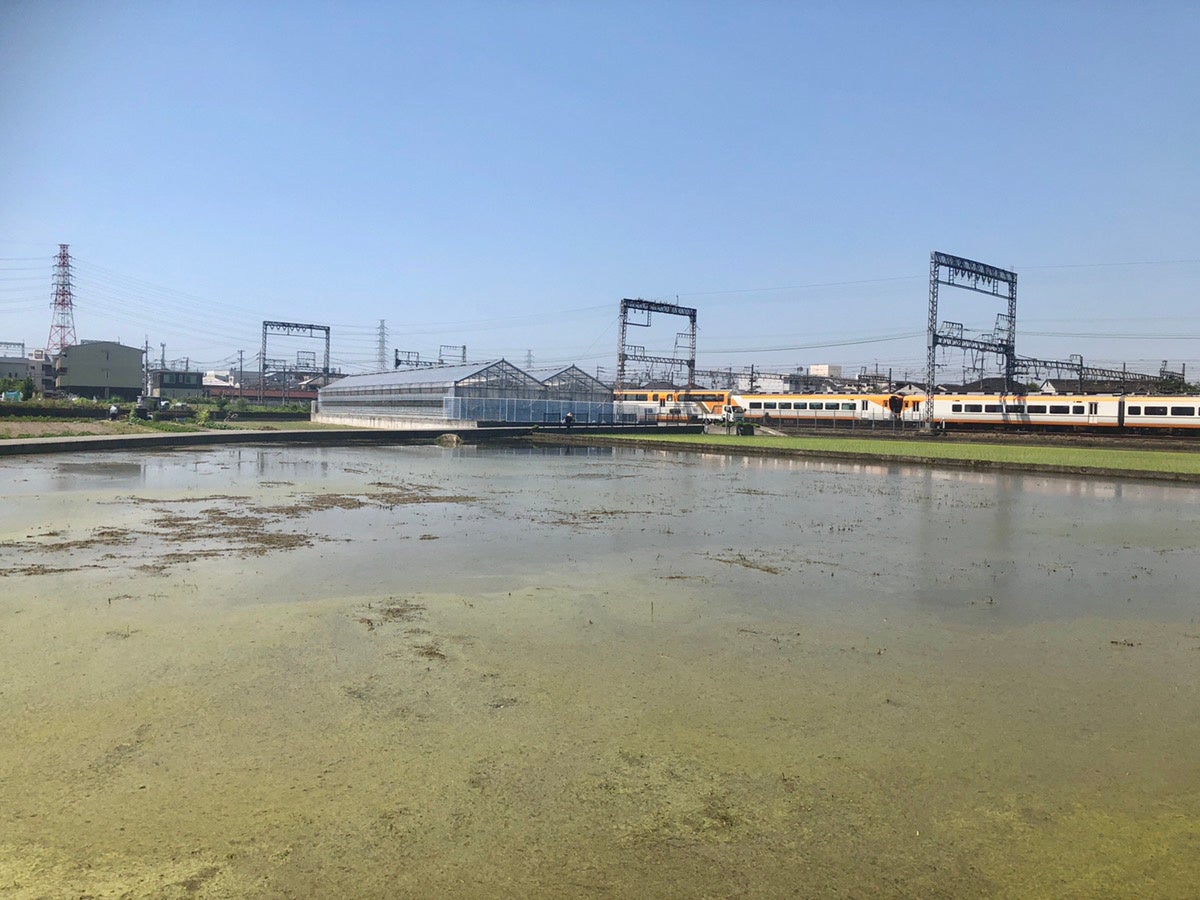 河内物語 服部農園からは近畿日本鉄道の電車が見える