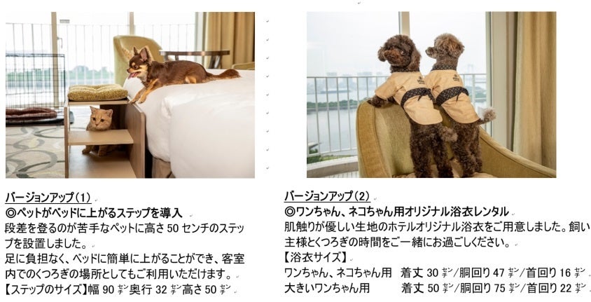 ヒルトン東京お台場 ワンちゃんもネコちゃんも一緒にステイ 人気のペットプランがバージョンアップして登場 Hmjのプレスリリース ヒルトン東京お台場 ワンちゃんもネコちゃんも一緒にステイ 人気のペットプランがバージョンアップして登場 Hmjのプレスリリース
