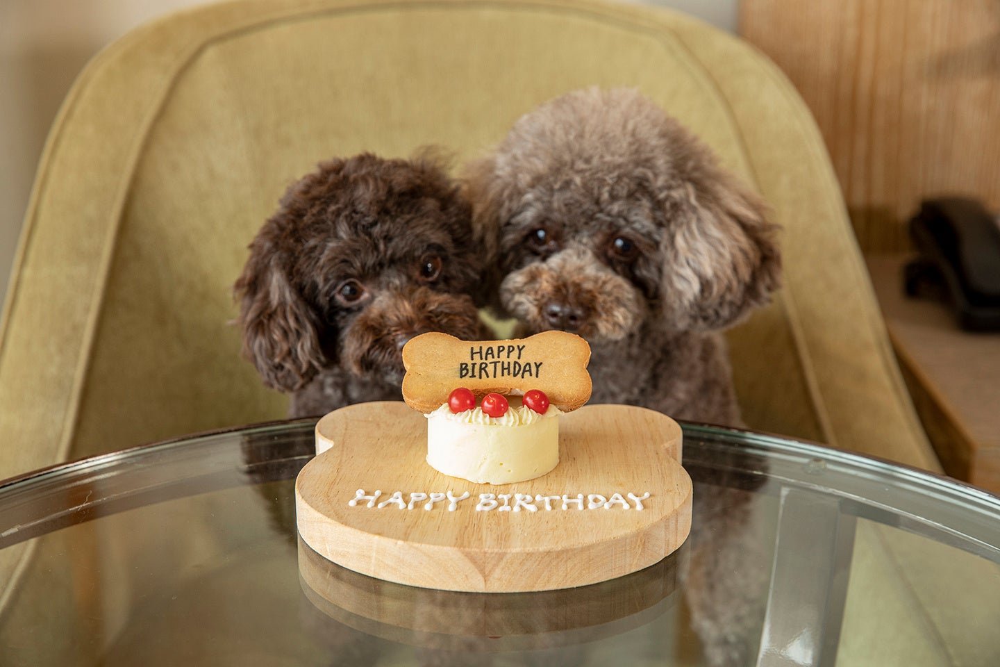 1室1プレートご用意