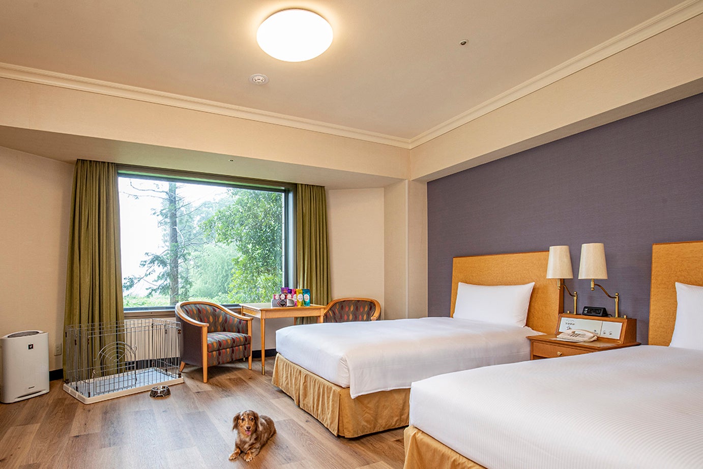 デラックスツインルーム