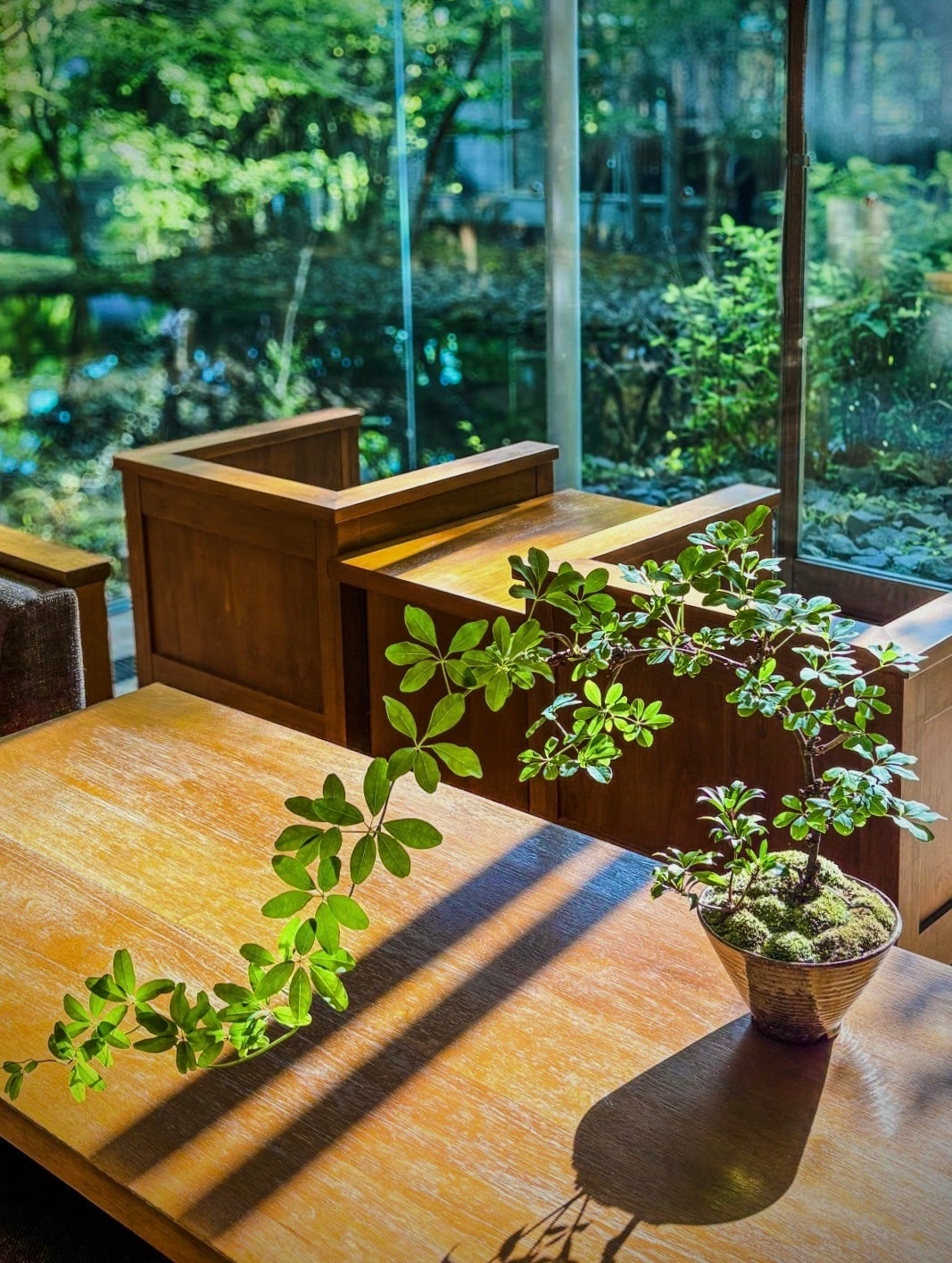【箱根リトリートföre & villa 1/f】箱根の森を、小さな庭に。苔や石、苗木に触れ、自分だけの景色をつくる「小庭盆栽」体験を開催