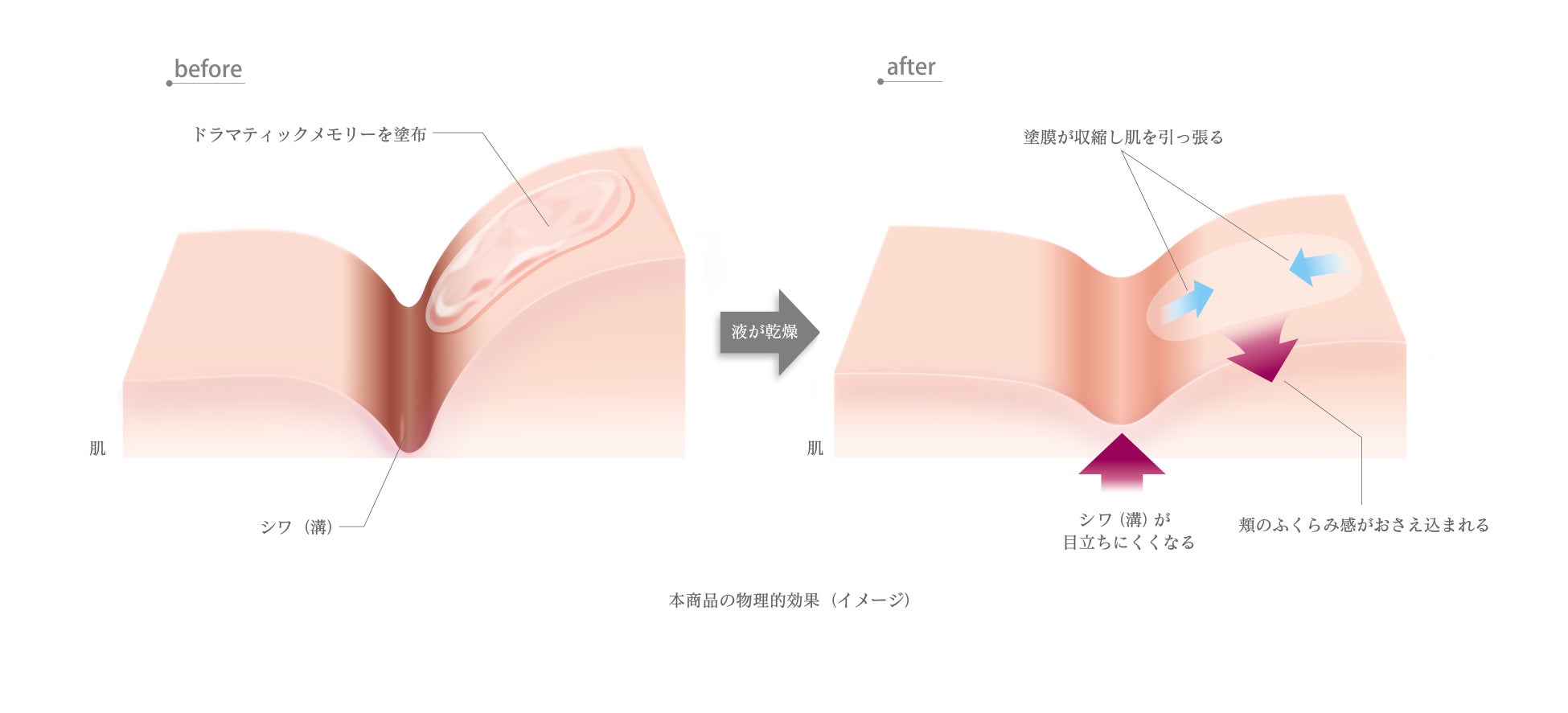 ※イメージ