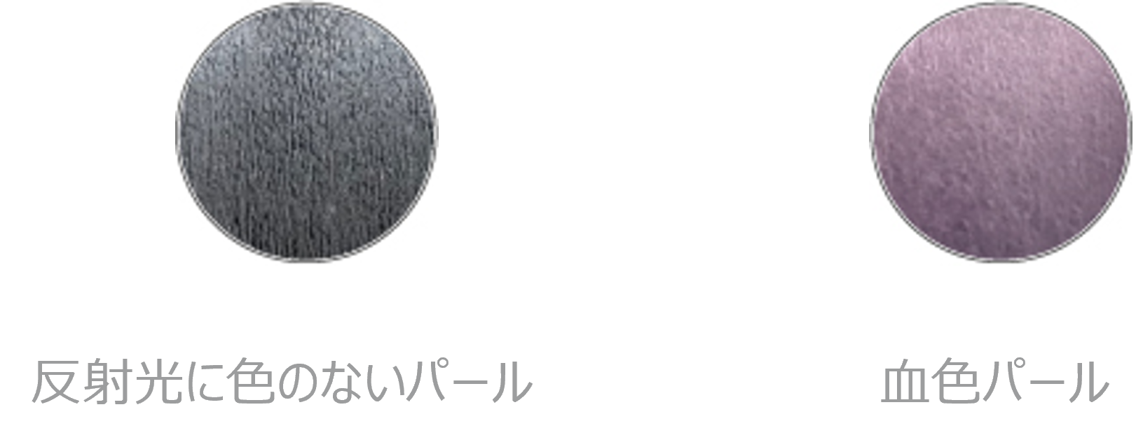 バイオスキンに塗布して比較（イメージ）