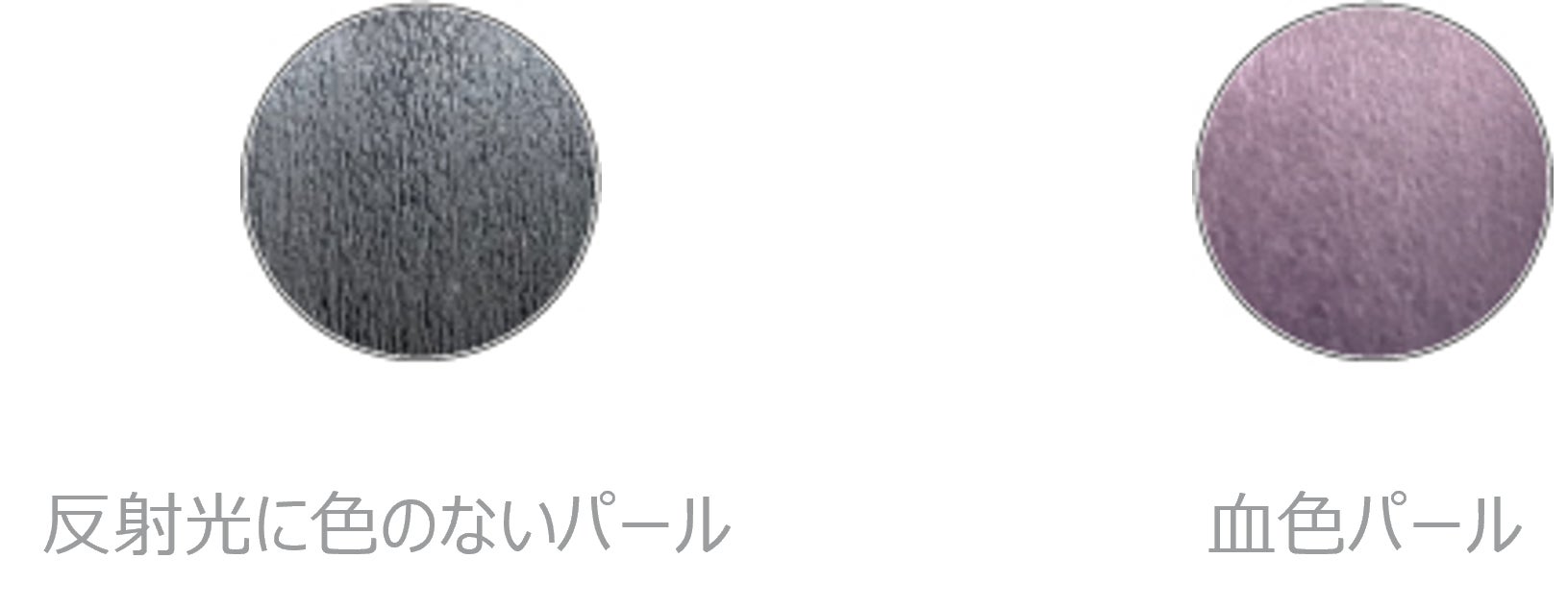 バイオスキンに塗布して比較(イメージ)