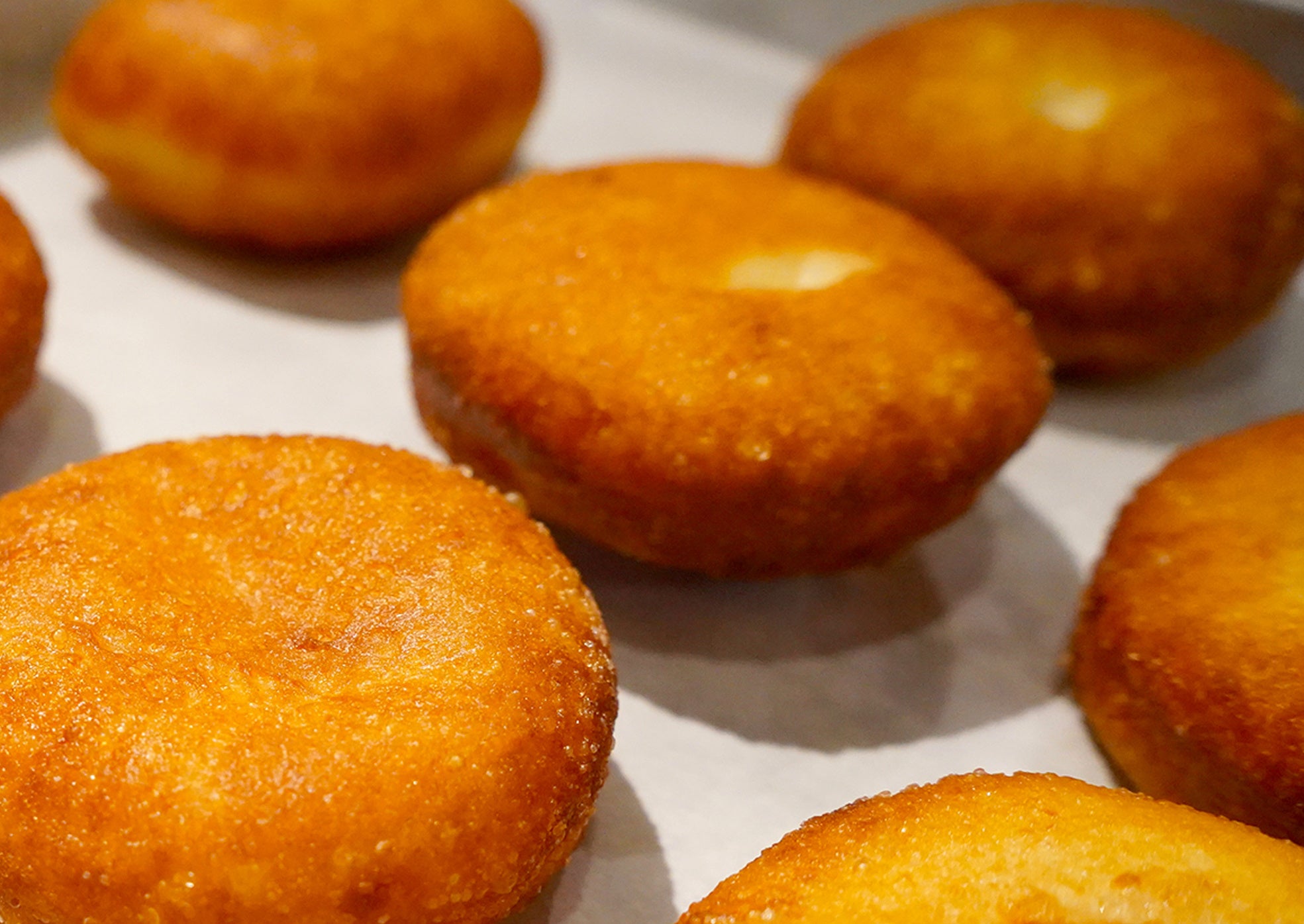 ふわふわ揚げたてボンボローニ