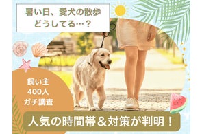 【飼い主400人に調査】暑い日の愛犬の散歩をどう乗り切る?人気の時間帯は意外にも“あの時間”!