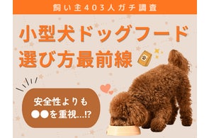 【飼い主403人に調査】小型犬のドッグフード選び、“安全性より●●を重視”という意外な結果に