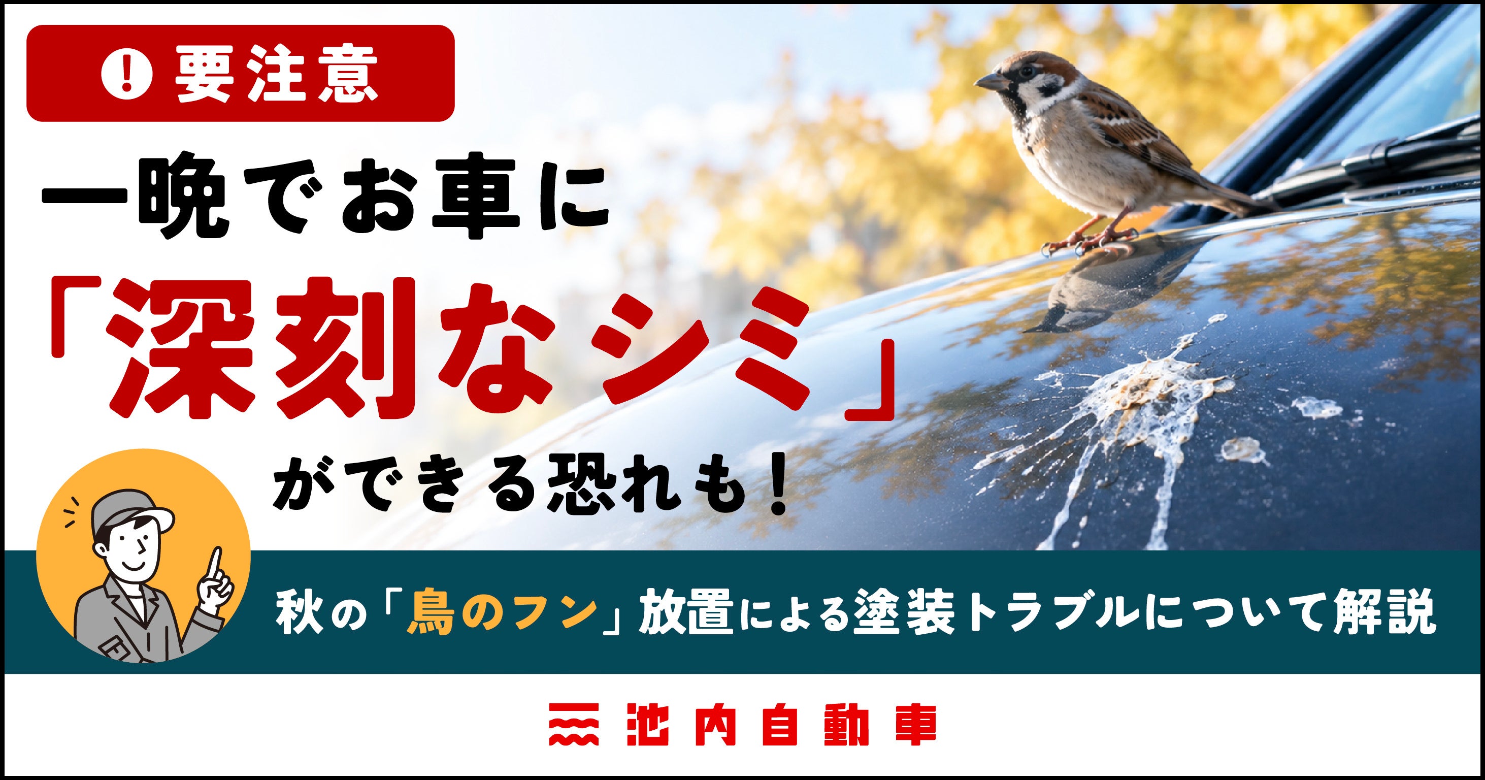 【要注意】一晩でお車に「深刻なシミ」ができる恐れも！秋の「鳥のフン」放置による塗装トラブルについて解説！洗車応援プレゼントキャンペーンも同時開催！
