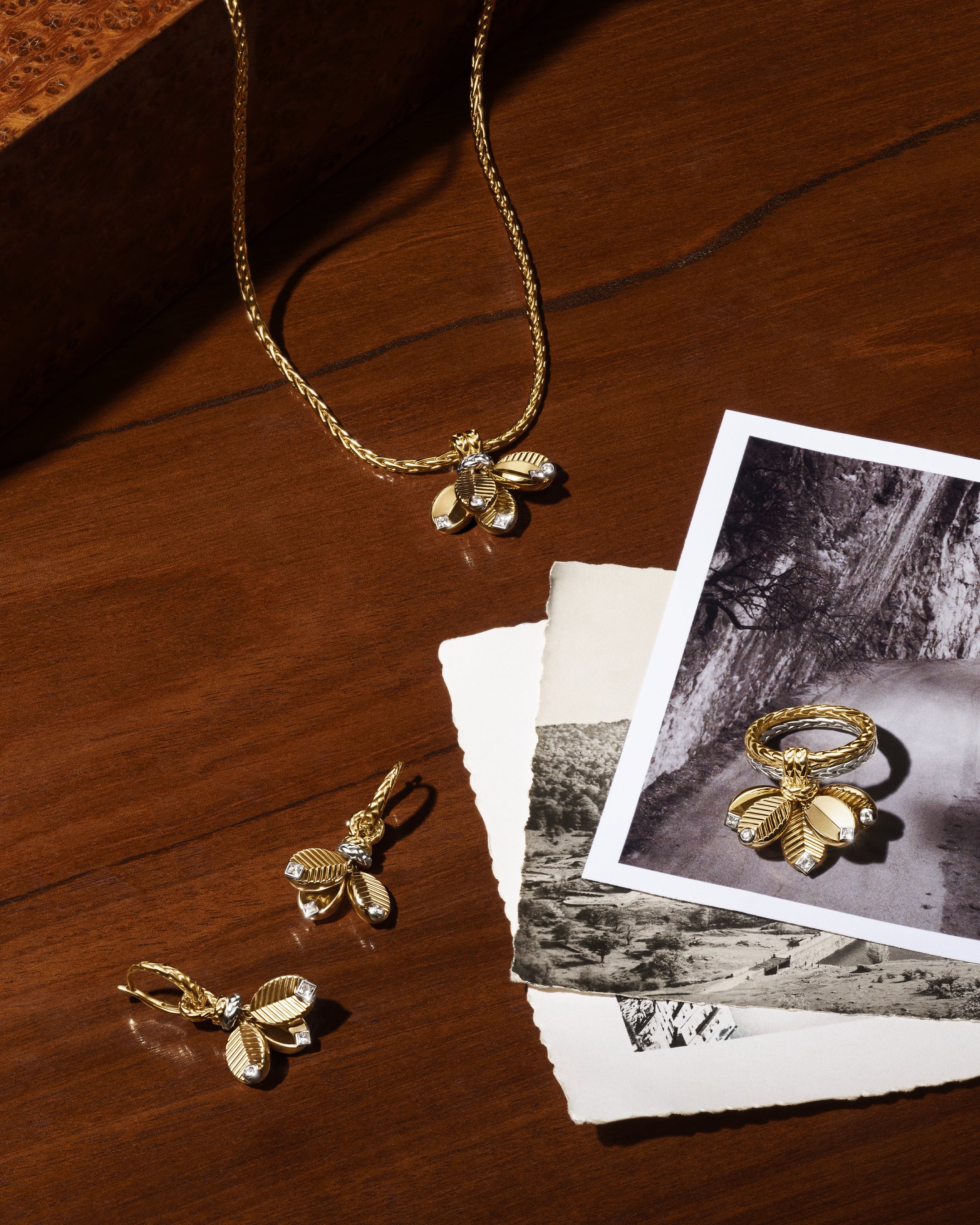 Joan Braun © Cartier