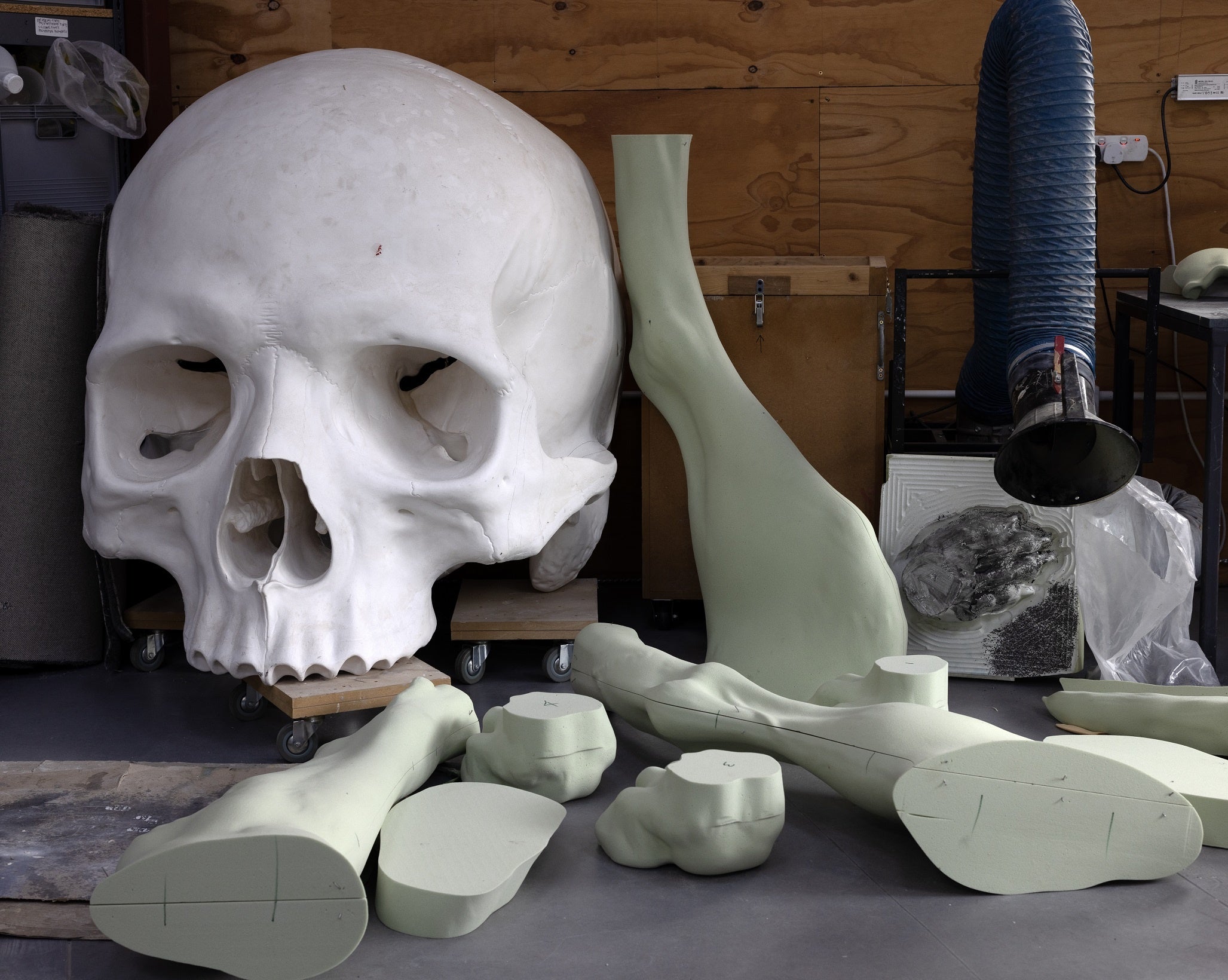 カルティエ現代美術財団、2023年6月8日から11月5日まで『ロン