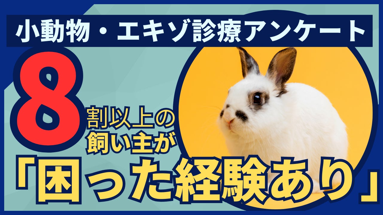 裁断済 Q&A エキゾチックアニマルの皮膚病 【公式通販】 裁断済 Q&A エキゾチックアニマルの皮膚病 【公式通販】