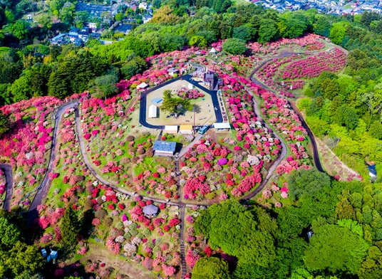 今年の春は笠間へ!花旅「あたご山桜まつり」と「笠間つつじまつり」 今年の春は笠間へ!花旅「あたご山桜まつり」と「笠間つつじまつり」