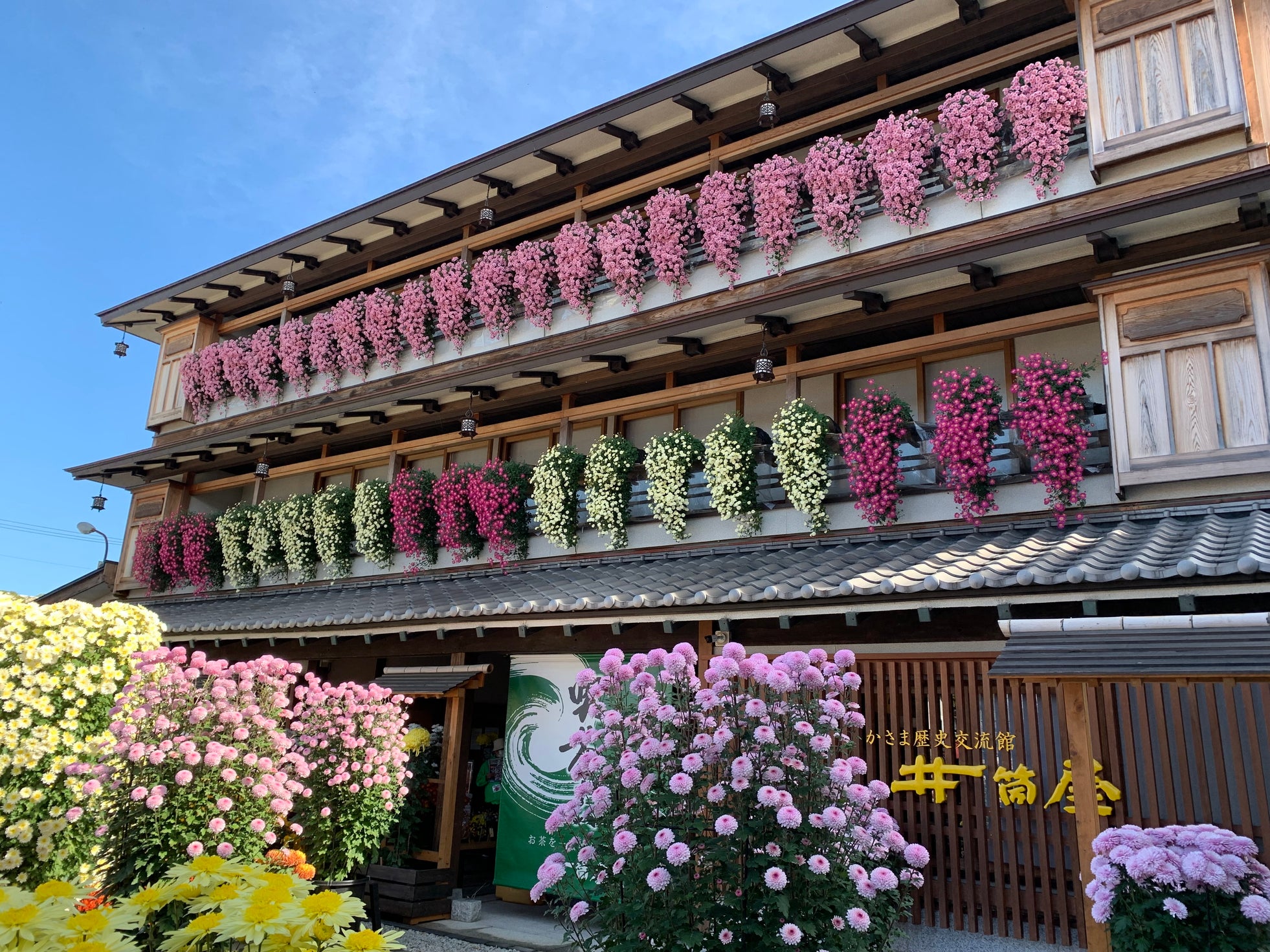 【茨城県笠間市】日本最古の菊の祭典「第118回 笠間の菊まつり」開催!