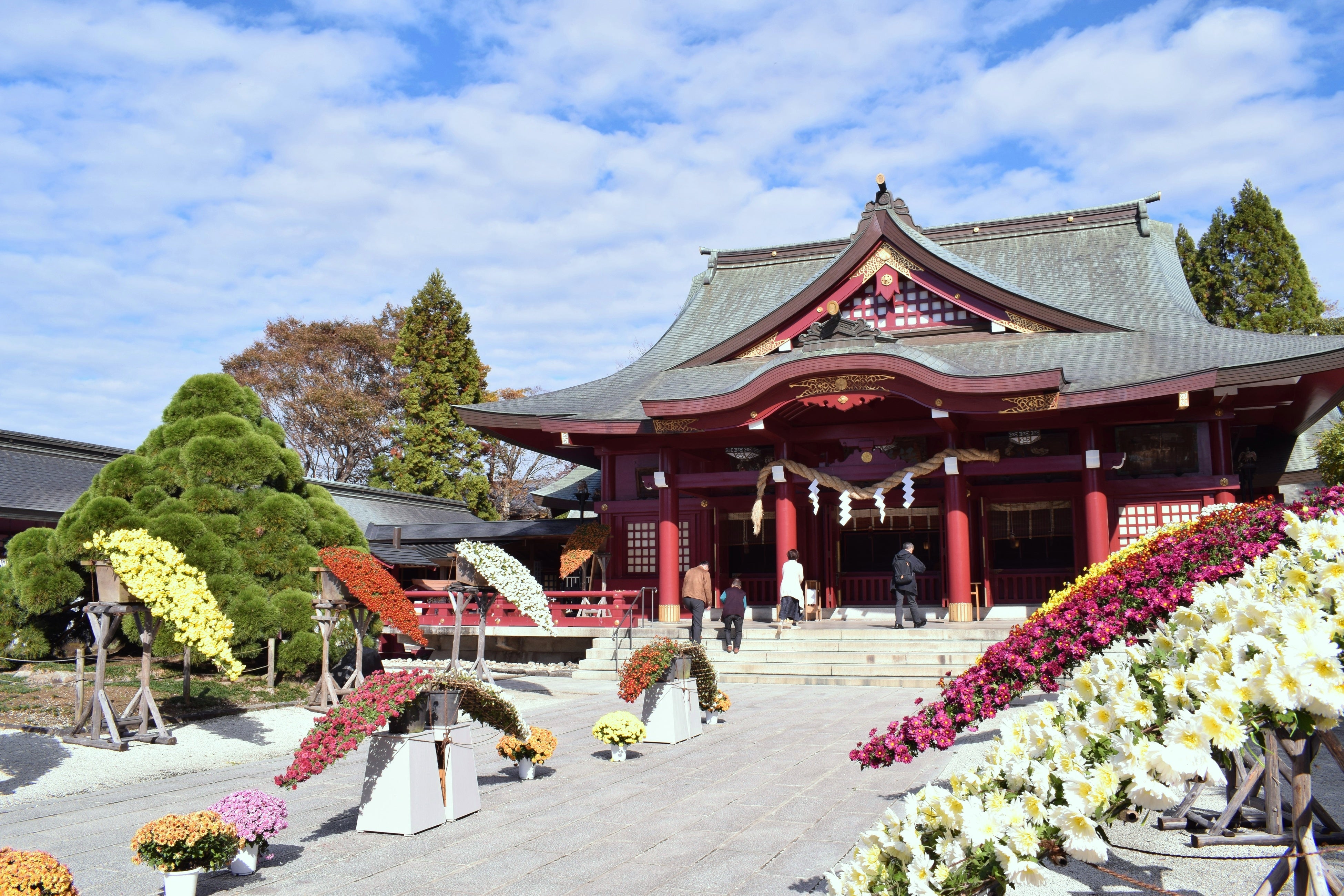 茨城県笠間市】日本最古の菊の祭典「第118回 笠間の菊まつり